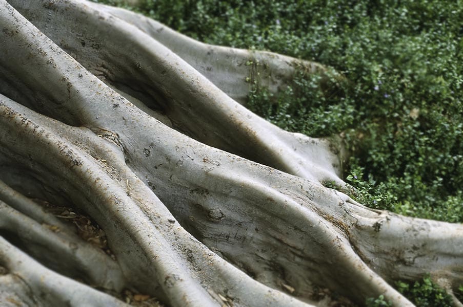 TIERRA: ejercicios de respiración tántrica para cada elemento por Connective Tantra School