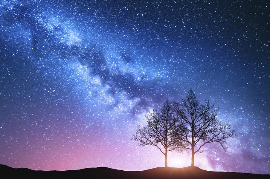 ÉTER – ESPACIO: ejercicios de respiración tántrica para cada elemento por Connective Tantra School Siluetas de dos árboles bajo un vasto cielo estrellado y una galaxia brillante, que simbolizan la quietud, la expansión y el elemento Éter en las prácticas de respiración tántrica.