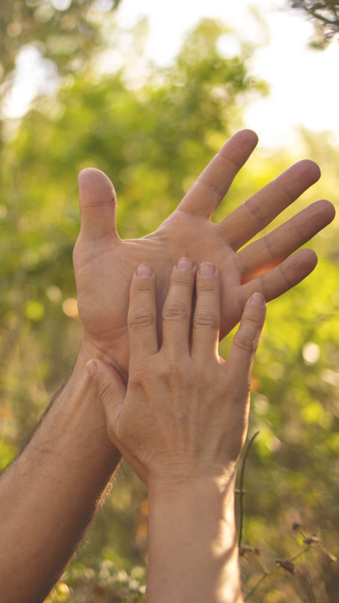 Hands gently touching outdoors, representing mindfulness, connection, and Tantra practice in everyday modern life.